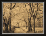 Smokies Road Art by Wendy Caro