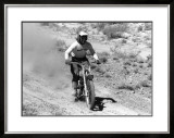 On Any Sunday Still Framed Giclee Print