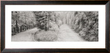 Parallel Paths Prints by Gomes 