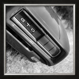 1970's GTO Prints