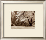Arboretum Gardens Print by Steve Leal