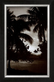 Moorea Morning Prints by David L. Kluver