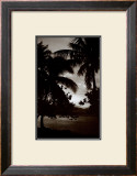 Moorea Morning Prints by David L. Kluver