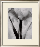 Twins Forever Prints by Ryuijie 