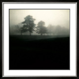 Fog Tree Study II Prints by Jamie Cook