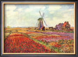 Tulips in Holland Prints by Claude Monet