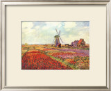 Tulips in Holland Print by Claude Monet