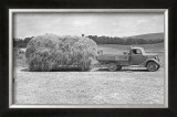 American Hay Farmer Framed Giclee Print