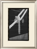Secure Harbor Prints by Laura Denardo