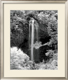 Nature's Jewel I Poster by Mike Jones