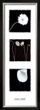 Black and White Prints by Angelos Zimaras
