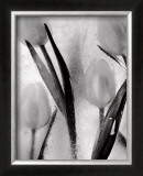 Tulips on Ice Art by Ryuijie 