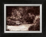 Queen Anne Park Prints by Steve Leal