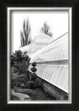Conservatory IV Print by Laura Denardo