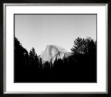 Half Dome in Trees Print by Bradford Smith