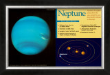 Neptune Print