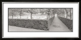 Hornbeam Harbor Prints by Gomes 