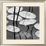Lily Pads, Sunrise Prints by David Gray