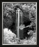 Nature's Jewel I Posters by Mike Jones