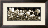Tulips in the Breeze I Prints by Alicia Soave