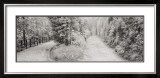 Parallel Paths Print by Gomes 
