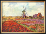 Tulips in Holland Prints by Claude Monet