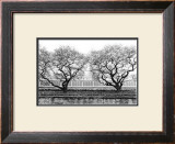 Conservatory II Prints by Laura Denardo