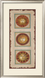 Sun Panel Prints by Mary Beth Zeitz