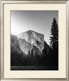 El Capitan in Shadow Posters by Bradford Smith