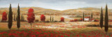 Coquelicots de Toscane I Affiches par Nan 