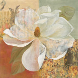 Magnolia Morning II Print by Carol Robinson Magnolia Morning II Print by Carol Robinson