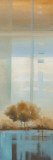Windows on the World II Poster par Carol Robinson
