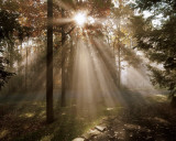 A New Day I Prints by Ann Dahlgren