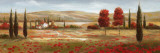 Tuscan Poppies II Posters by Nan 