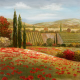 Tuscan Cypress I Print by Nan 