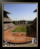 Husky Stadium Framed Photographic Print