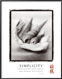 Simplicity: Shells Posters