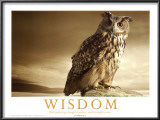 Wisdom Posters