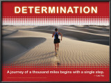 Determination Prints
