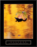 Success: Autumn Leaf Prints