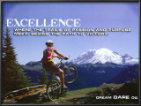 Excellence Prints