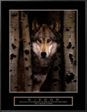 Wisdom: Gray Wolf Print