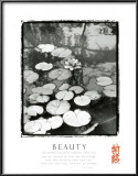 Beauty: Lilypads Posters