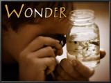 Wonder Prints Wonder Prints