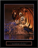 Excellence: Bengal Tiger Arte