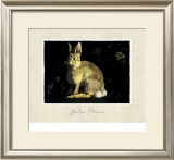 Hare Posters by Galina Perova
