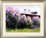 Sunny Morning Prints by Alexander Kosnichev