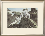 Dall Sheep Pôsters por Ron Van Gilder