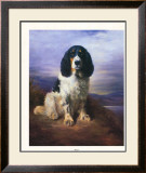 Royal Prints by Lilian Cheviot