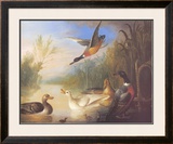Waterfowl in a Landscape Prints by Marmaduke Cradock